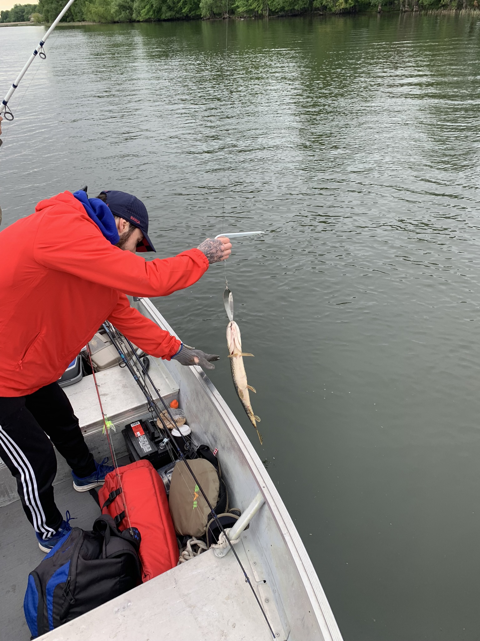 Brochet remise (G.D.) Brochet remise (G.D.)