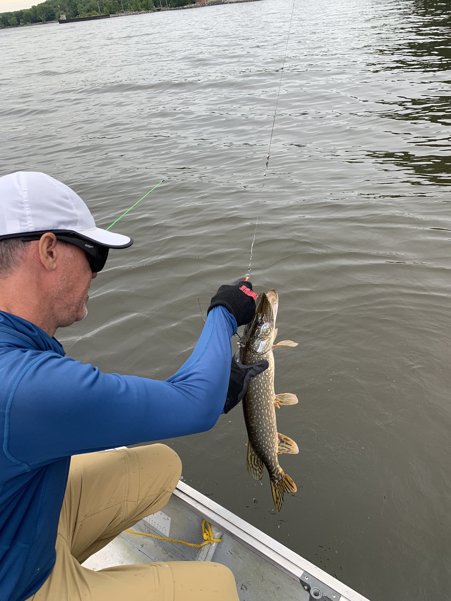 Brochet vs Williams Episode 250