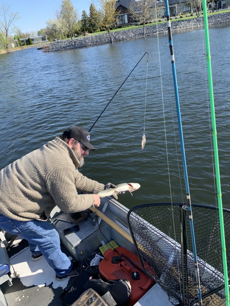 Remise à l'eau Remise à l'eau