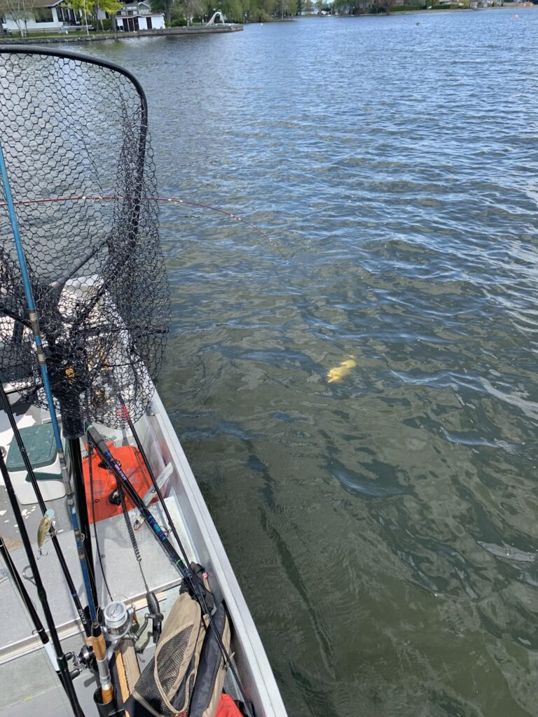 À la traîne À la traîne