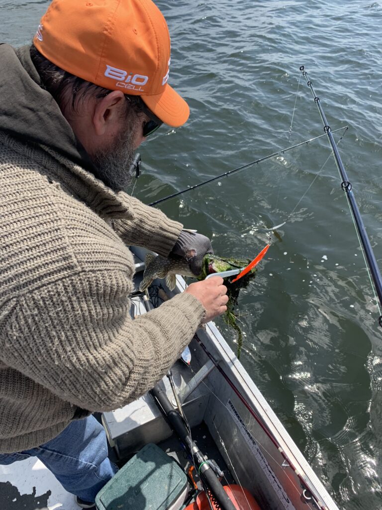 Décrochage Décrochage