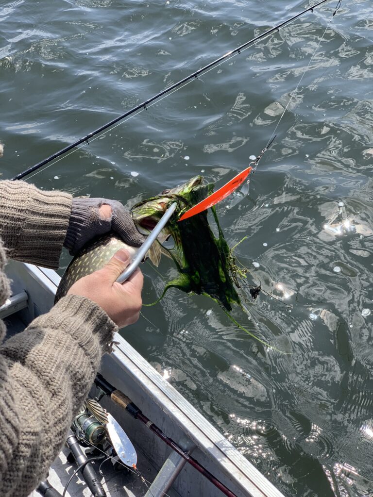 Encore la C-90 Encore la C-90